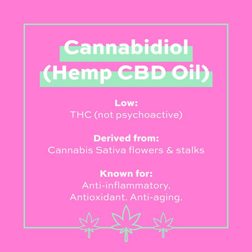 CBD Serum - Smooth & Calm Dry Skin