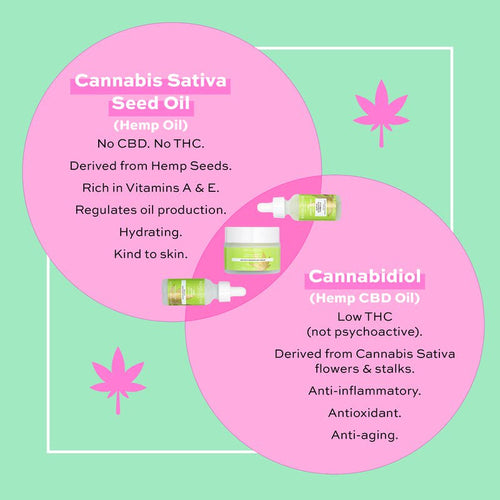 CBD Serum - Smooth & Calm Dry Skin